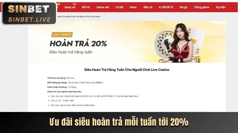 Sân tennis với vợt và bóng